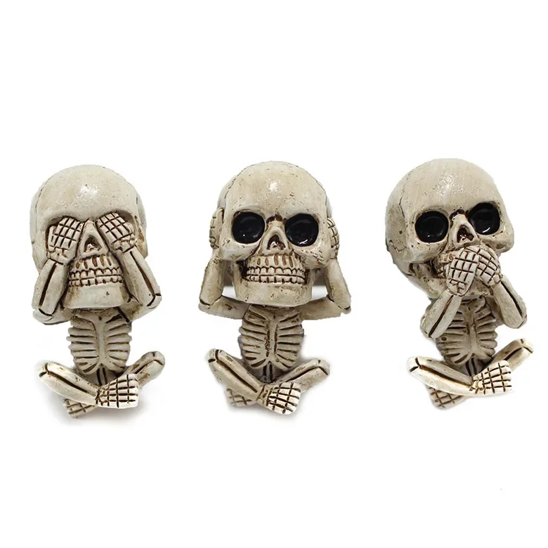 3Pcs Skull Car Interior Decora - Car Accessories Must Have review and price